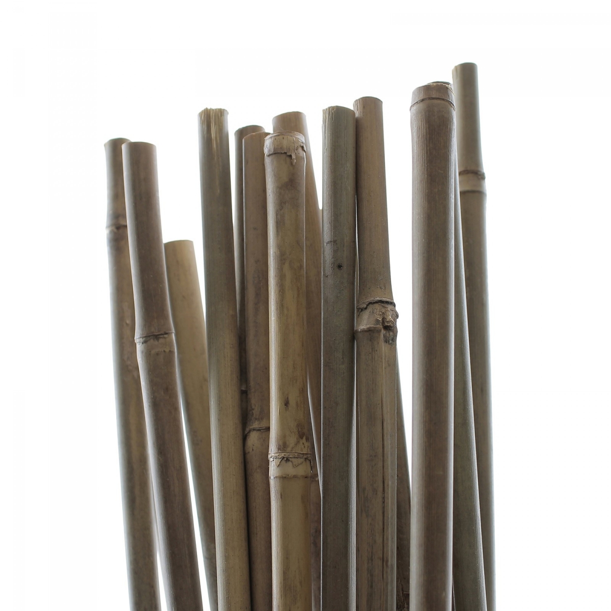 Lot de 25 piquets en bambou  naturel 1 50 m de long Hydrozone