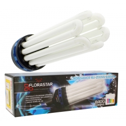 Ampoule CFL 200W spectre croissance - Florastar