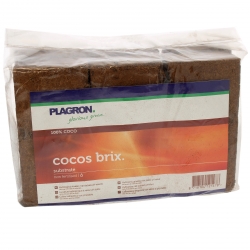 Cocos Brix x 6 PLAGRON