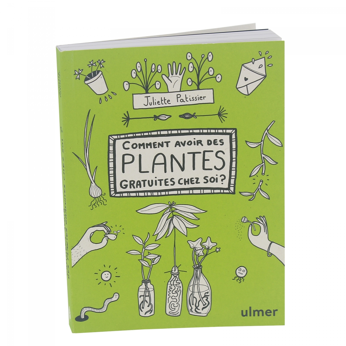 COMMENT AVOIR DES PLANTES GRATUITES CHEZ SOI  JULIETTE PATISSIER