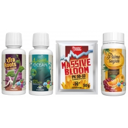 Pack boosters MASTER GROWER - Hydropassion