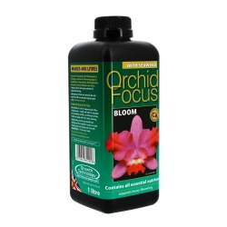 orchid-focus-bloom-500-ml