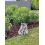 Ecorces de pin maritime 20/40 qualité décor Secret Vert - Sac de 50L