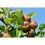 Fumier de ferme UAB - Secret Vert - Sac de 3kg