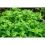 Terreau Bio-Actif UAB - Secret Vert - Sac de 40L