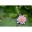 Terreau pour plantes aquatiques UAB - Secret Vert - Sac de 20L