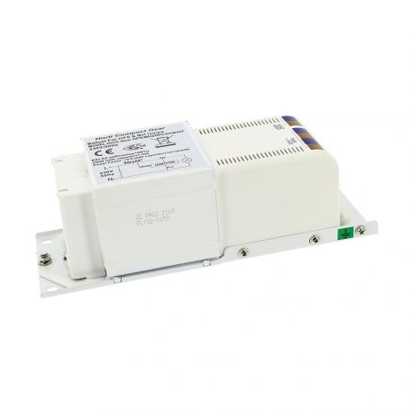 Ballast 250W magnétique Class 1 - HORTI GEAR