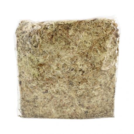 Sphaigne du Chili – Sachet 1 kg – Support de culture naturel