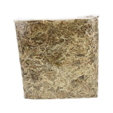 Sphaigne du Chili – Sachet 1.250 kg – Support de culture naturel