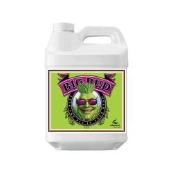 Big Bud - 500ml - Advanced Nutrients
