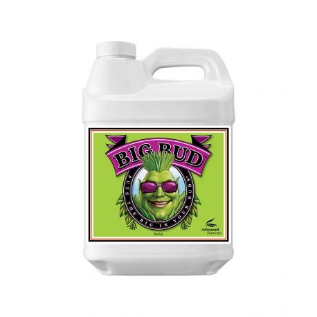Big Bud - 500ml - Advanced Nutrients