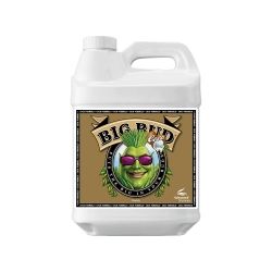 Big Bud Coco - 500ml - Advanced Nutrients