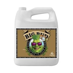 Big Bud Coco - 5L - Advanced Nutrients