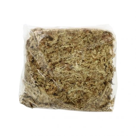 Sphaigne du Chili – Sachet 150gr – Support de culture naturel