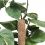 Support naturel - Tuteur en coco - 120cm - GARLAND