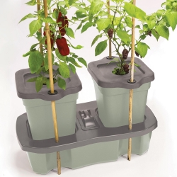 Jardinière duo grow - Arosage automatique - GARLAND