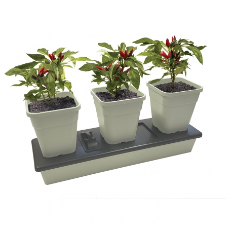 Jardinière Trio Grow à arrosage automatique – Garland 