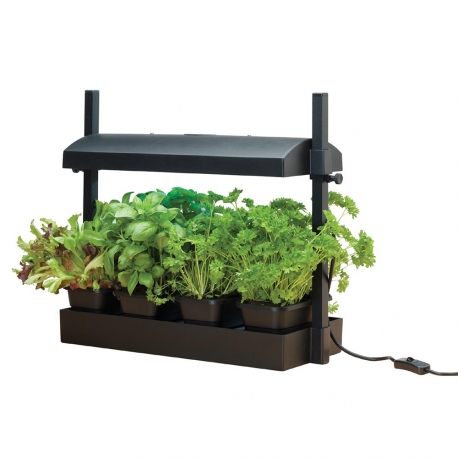 Mini potager urbain avec rampe LED 1x8W - Noir - GARLAND