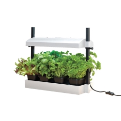 Mini potager urbain avec rampe LED 1x8W - Blanc - GARLAND