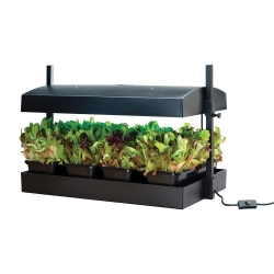Potager urbain avec rampe LED 2x16W - Noir - GARLAND