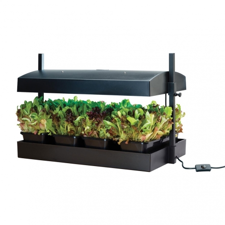 Potager urbain avec rampe LED 2x16W - Noir - GARLAND