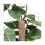 Support naturel - Tuteur en coco - 60cm - GARLAND