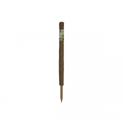 Support naturel - Tuteur en coco - 60cm - GARLAND