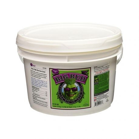 Big Bud Powder 2.5kgr - Advanced Nutrients