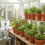 Kit Easy2Grow 2 pots de 8.5L et Réservoir 47L - 9mm - AUTOPOT