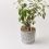 Indicateur d'arrosage pour plantes SUSTEE - Blanc - taille L