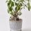 Indicateur d'arrosage pour plantes SUSTEE - Noir - taille L