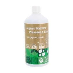 Algues Marines Pressées à Froid - 1L - Terra Aquatiqua