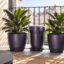 Système d'arrosage autonome KLORIS couleur Prune - AUTOPOT