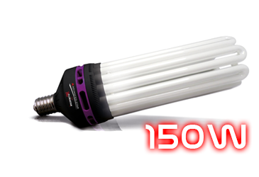 Catégorie ampoule CFL 150W