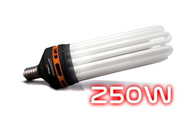 Catégorie Ampoule CFL 250W