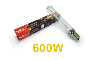 Catégorie Ampoule HPS 600W