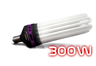 Catégorie Ampoule CFL 300W