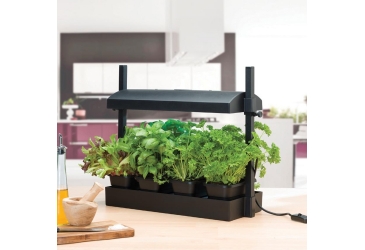 Catégorie Systèmes et jardinage urbain