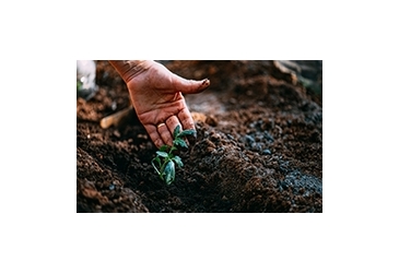 Catégorie Nutriments de base